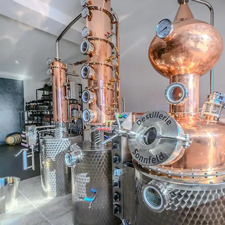 Hotel Hotel Sonnfeld